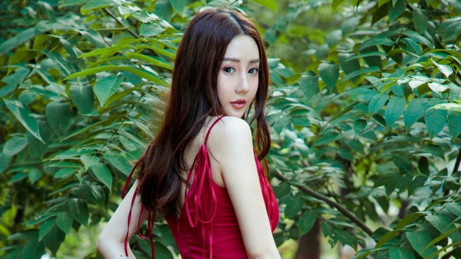 新剧场版新动画！《排球少年》直播公布多项企划情报